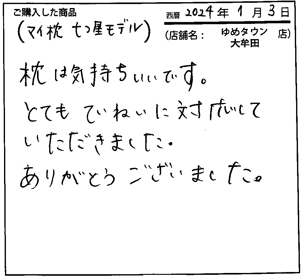 枕は気持ちいです。とてもていねいに対応していただきました。