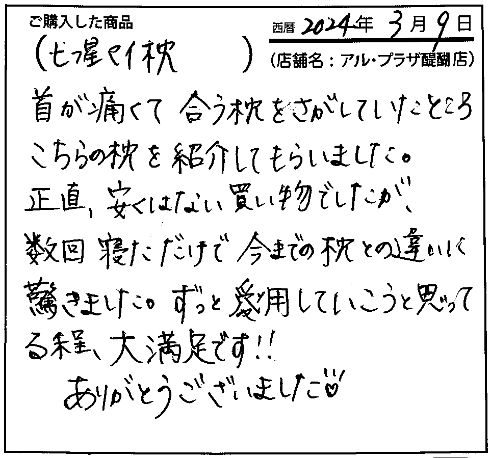 首が痛くて合う枕をさがしていたところこちらの枕を紹介してもらいました。正直、安くはない買い物でしたが、数回寝ただけで今までの枕との違いに驚きました。ずっと愛用していこうと思ってる程、大満足です！！