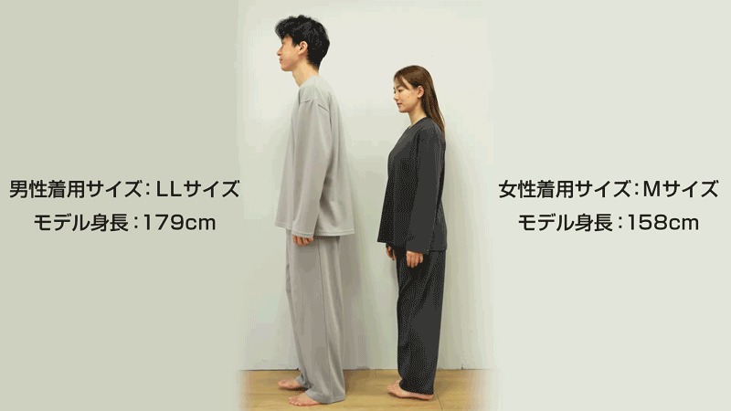 モデル