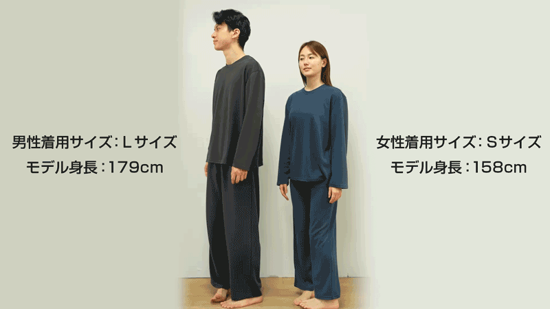 モデル