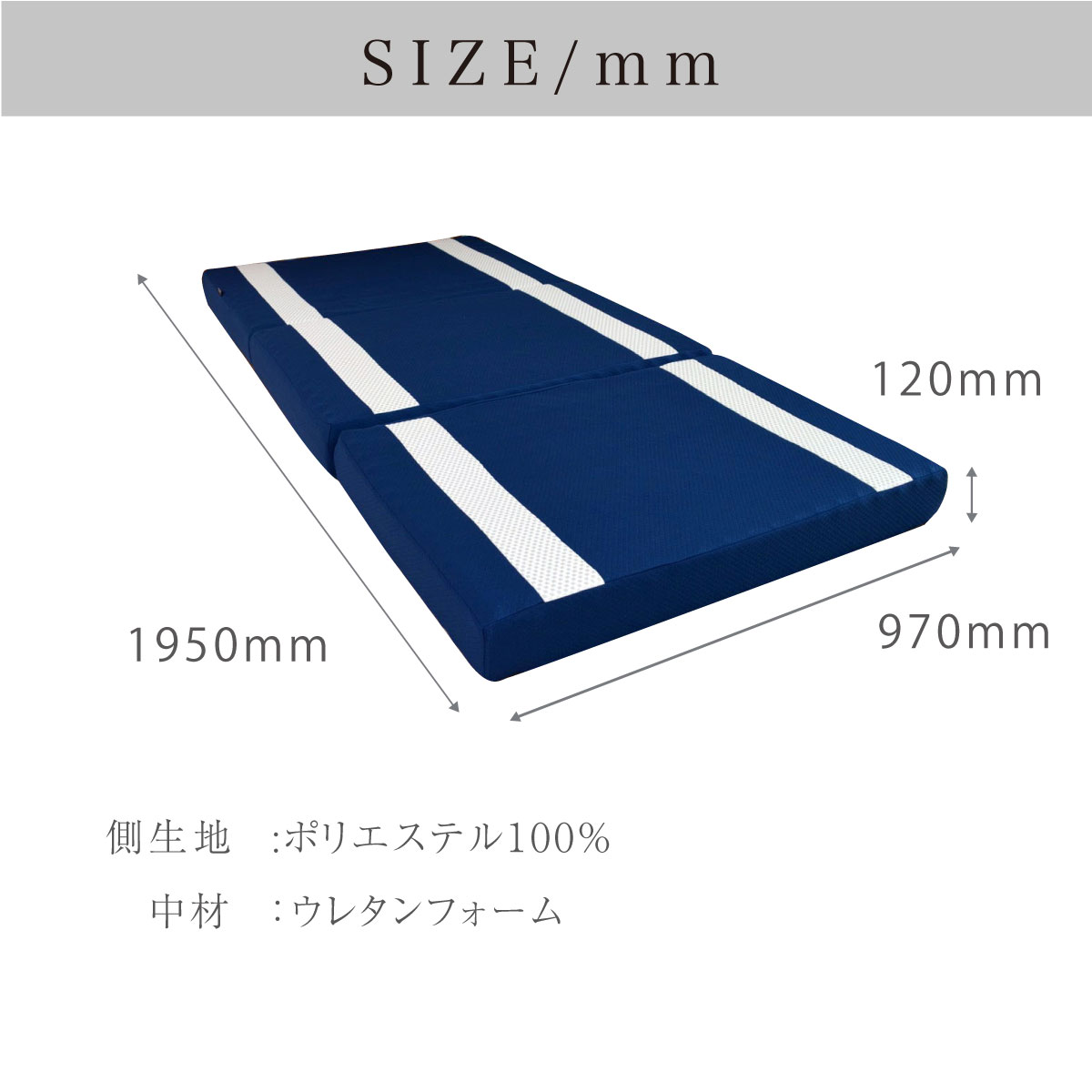 サイズ