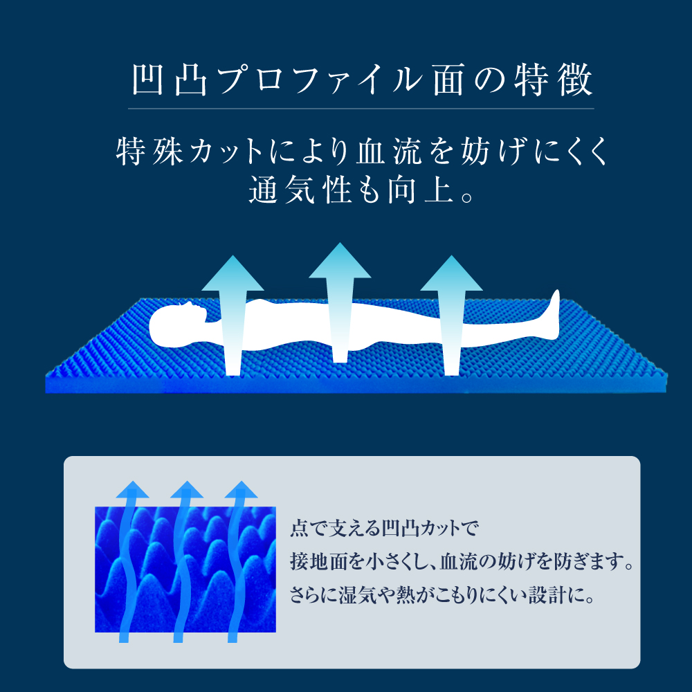 rakune8-2-6