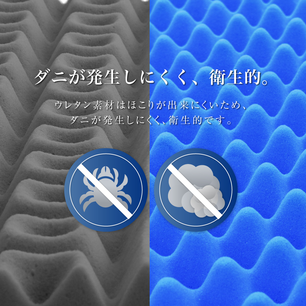 rakune8-2-6