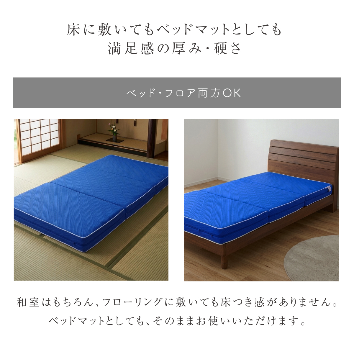 rakune8-2-5