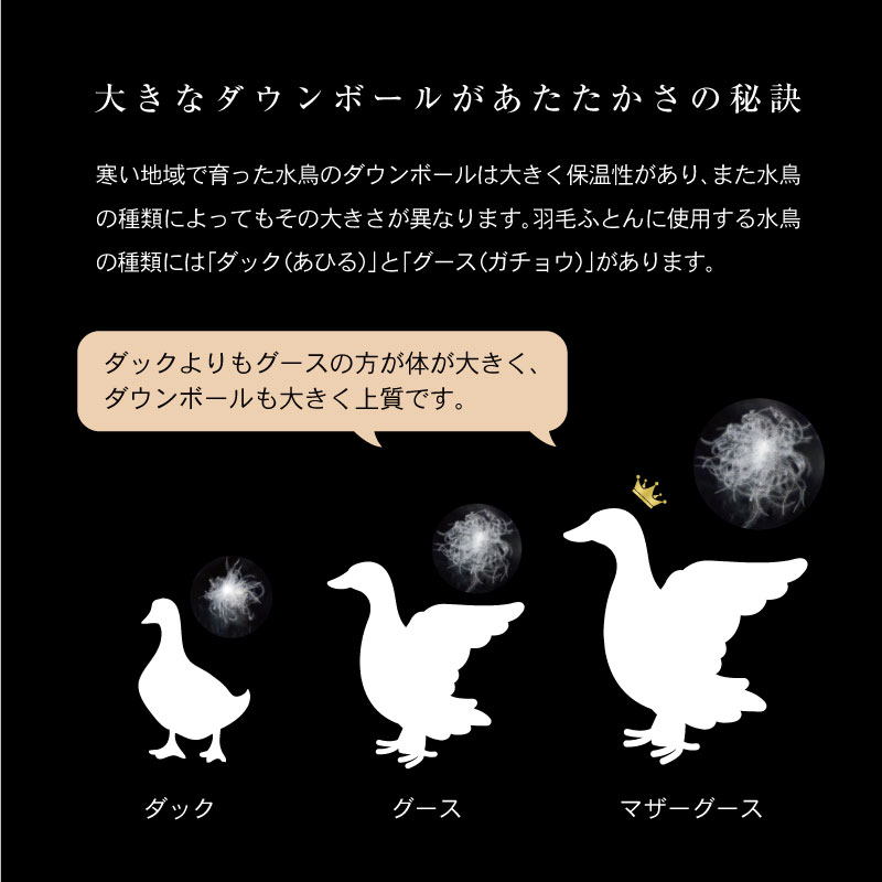 大きなダウンボールがあたたかさの秘訣寒い地域で育った水鳥のダウンボールは大きく保温性があり、また水鳥の種類によってもその大きさが異なります。羽毛ふとんに使用する水鳥の種類には「ダック（あひる）」と「グース（ガチョウ）」があります。ダックよりもグースの方が体が大きく、ダウンボールも大きく上質です。