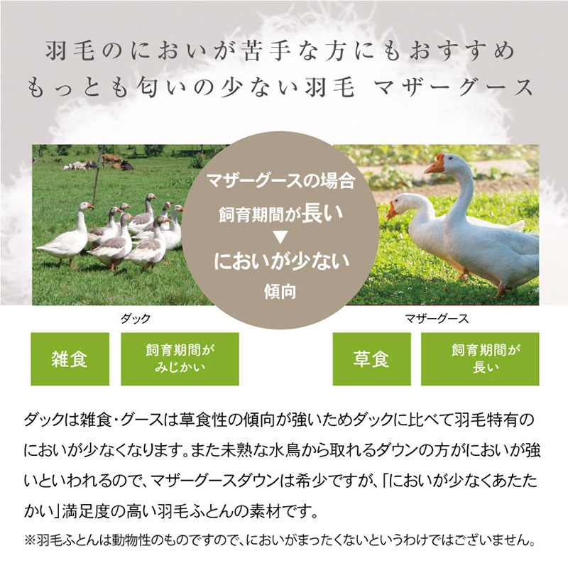 羽毛のにおいが苦手な方にもおすすめもっとも匂いの少ない羽毛 マザーグースダックは雑食・グースは草食性の傾向が強いためダックに比べて羽毛特有のにおいが少なくなります。また未熟な水鳥から取れるダウンの方がにおいが強いといわれるので、マザーグースダウンは希少ですが、「においが少なくあたたかい」満足度の高い羽毛ふとんの素材です。※羽毛ふとんは動物性のものですので、においがまったくないというわけではございません。