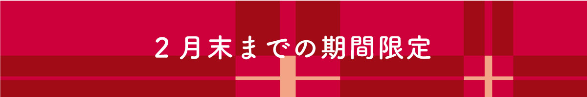 期間限定バナー