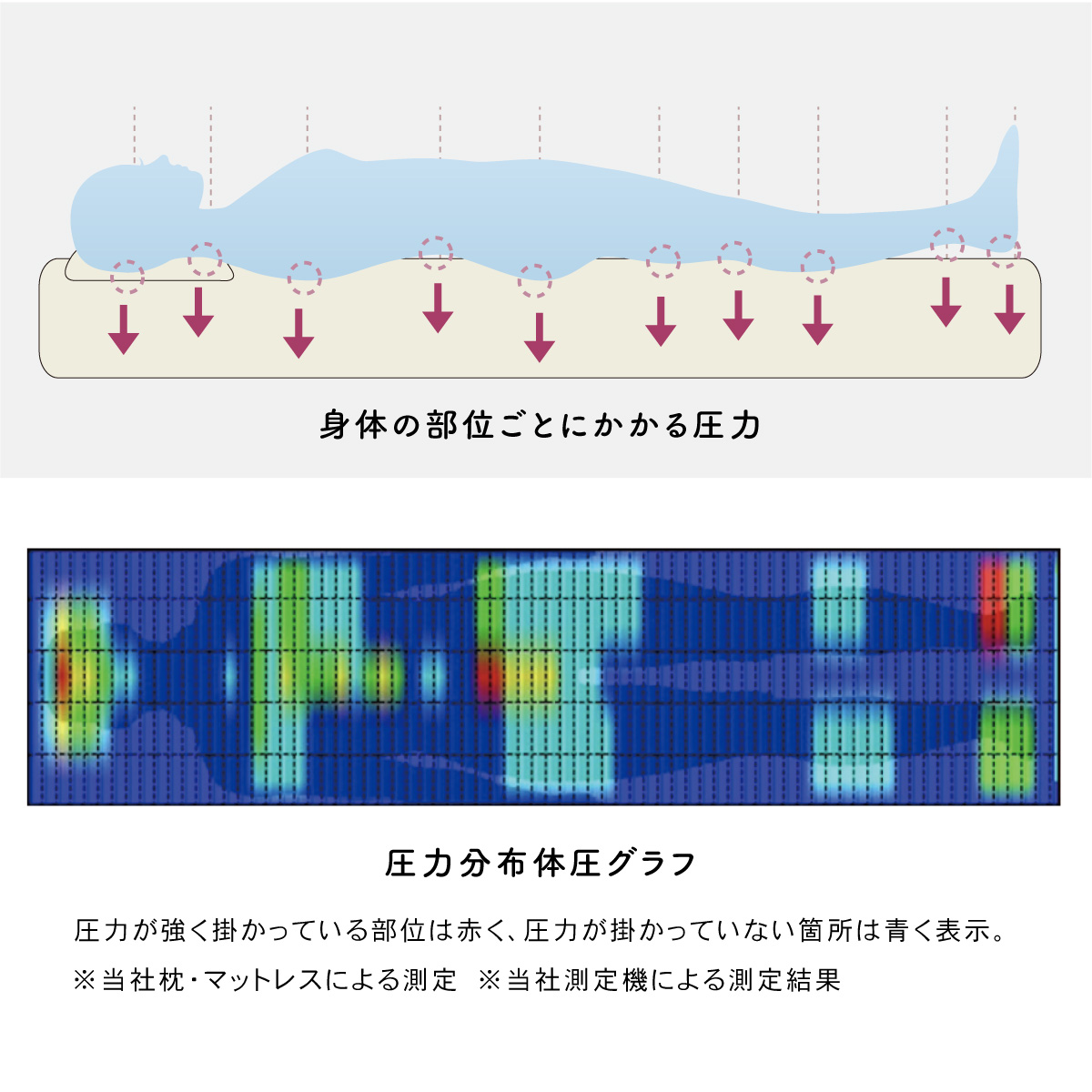 マイ枕