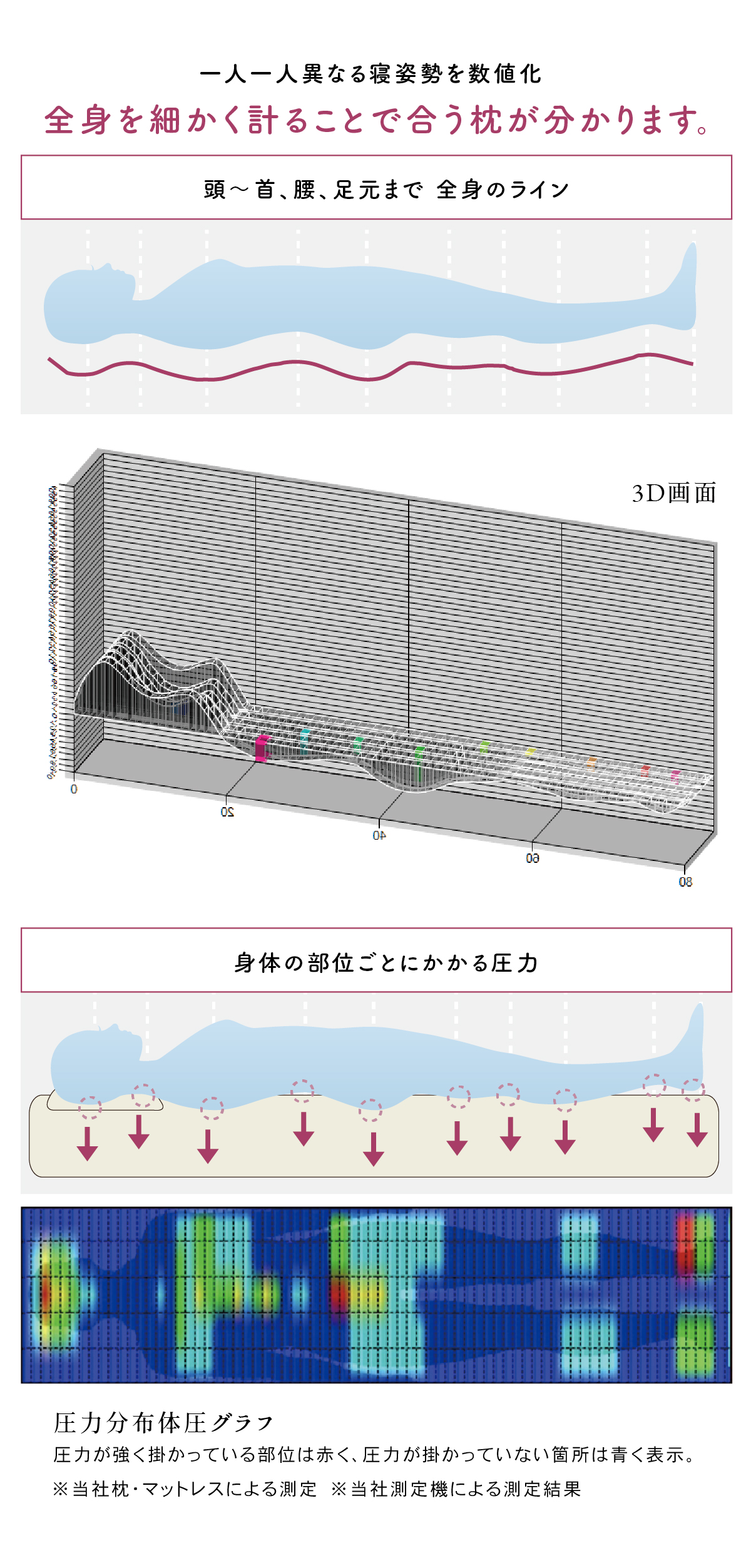 全身を細かく測ることで合う枕が分かります。