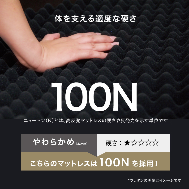 ニュートン数