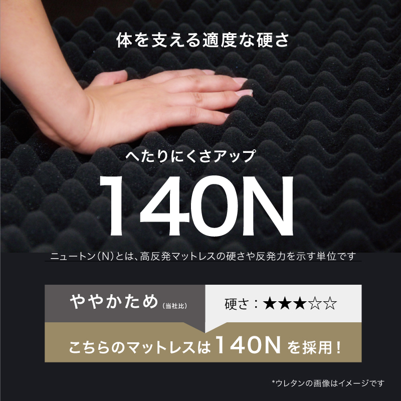 ニュートン数