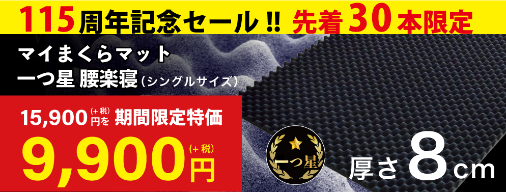 一つ星9,900円