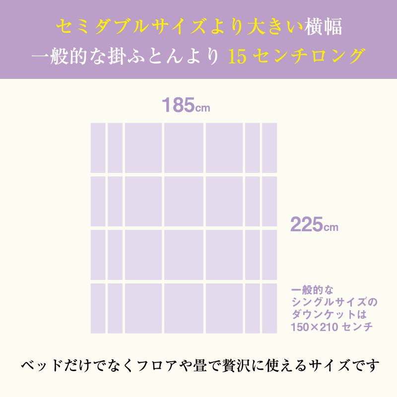 贅沢ワイドサイズダウンケット セミダブルより大きい