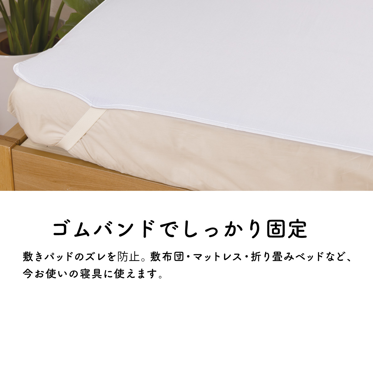 マイクール
